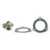 FISPA 94.315 Thermostat, coolant